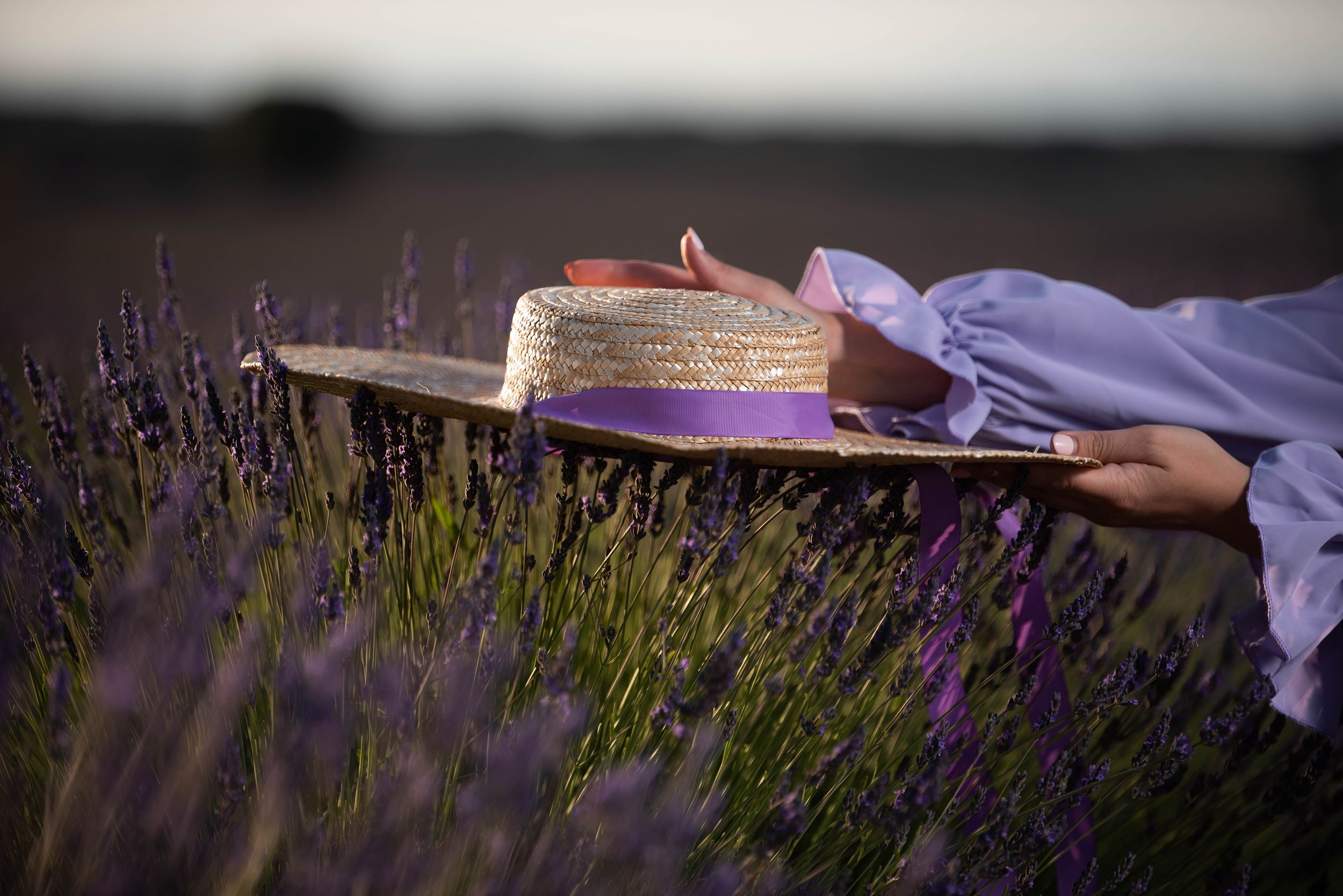 Fotografía de sesiones de fotos lavanda - Memoire Photography Madrid